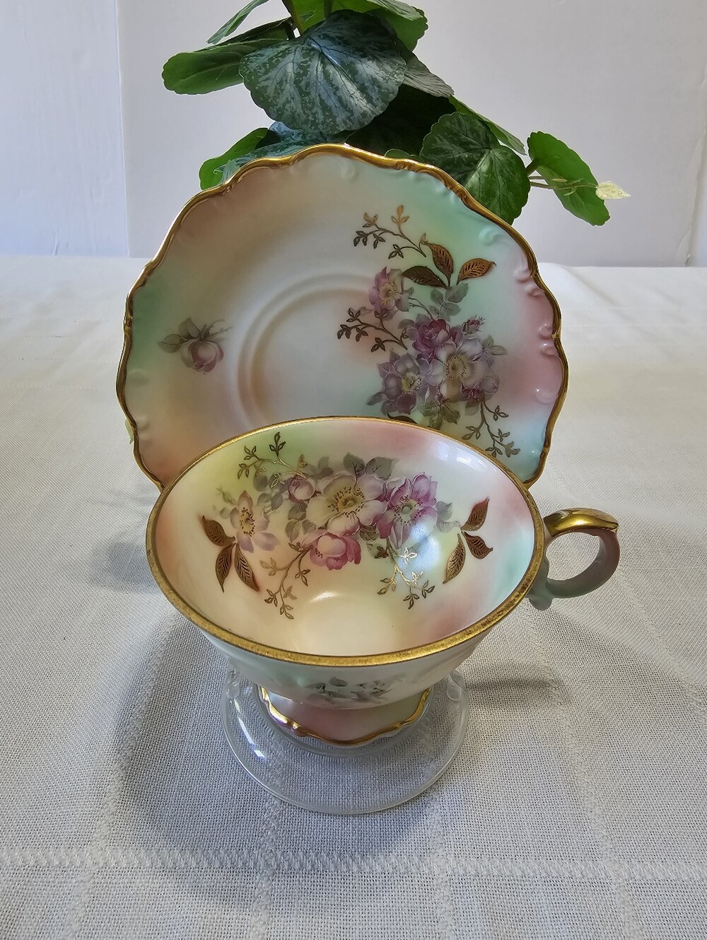 Antique Schumann Arzberg Germany Bavarian Wild Rose Cup & Saucer